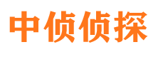 益阳市调查公司